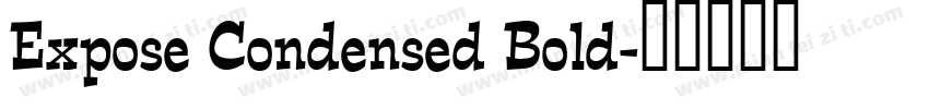 Expose Condensed Bold字体转换
